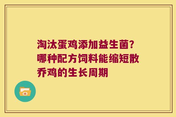 淘汰蛋鸡添加益生菌？哪种配方饲料能缩短散乔鸡的生长周期