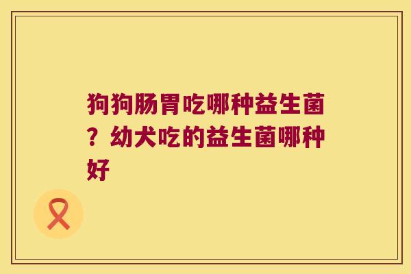 狗狗肠胃吃哪种益生菌?幼犬吃的益生菌哪种好 狗狗肠胃吃哪种益生菌?幼犬吃的益生菌哪种好