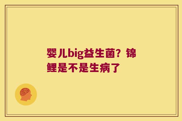婴儿big益生菌?锦鲤是不是生了 婴儿big益生菌?锦鲤是不是生了