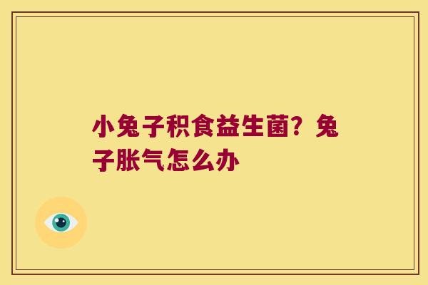 小兔子积食益生菌？兔子胀气怎么办