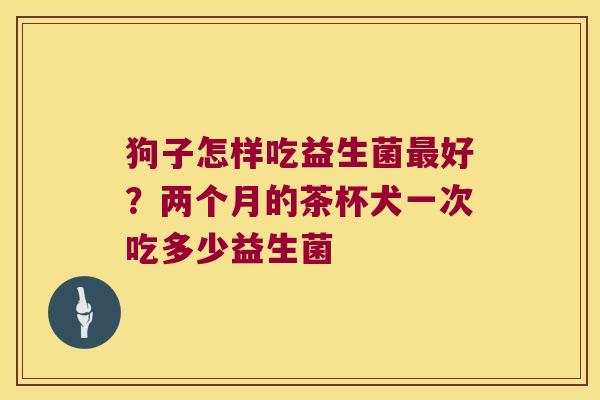 狗子怎样吃益生菌最好？两个月的茶杯犬一次吃多少益生菌