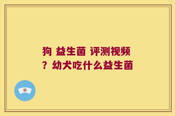 狗 益生菌 评测视频?幼犬吃什么益生菌 狗 益生菌 评测视频?幼犬吃什么益生菌