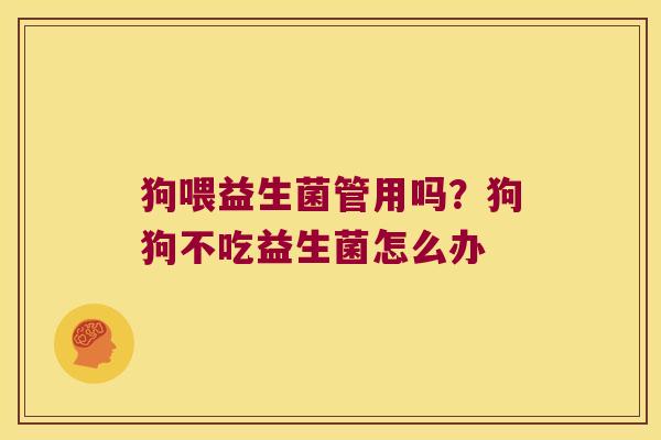 狗喂益生菌管用吗?狗狗不吃益生菌怎么办 狗喂益生菌管用吗?狗狗不吃益生菌怎么办