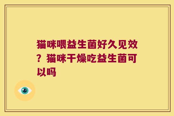 猫咪喂益生菌好久见效?猫咪干燥吃益生菌可以吗 猫咪喂益生菌好久见效?猫咪干燥吃益生菌可以吗