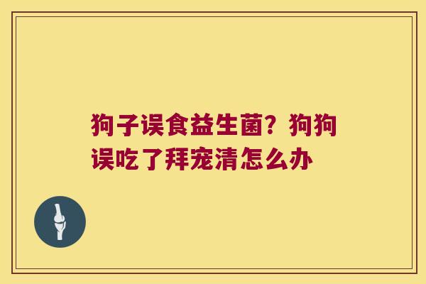 狗子误食益生菌？狗狗误吃了拜宠清怎么办