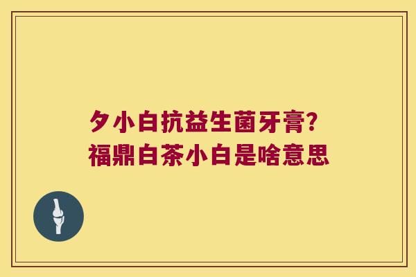 夕小白抗益生菌牙膏?福鼎白茶小白是啥意思 夕小白抗益生菌牙膏?福鼎白茶小白是啥意思