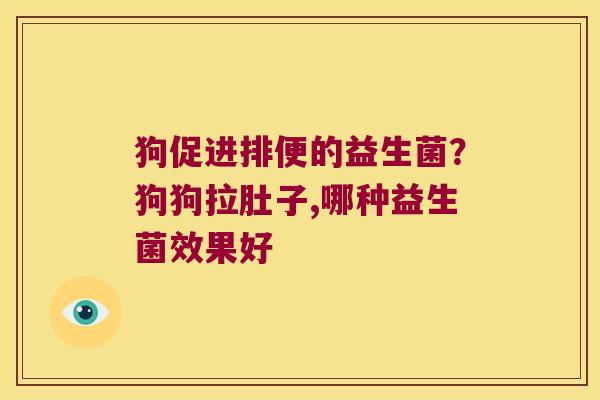 狗促进排便的益生菌?狗狗拉肚子,哪种益生菌效果好 狗促进排便的益生菌?狗狗拉肚子,哪种益生菌效果好