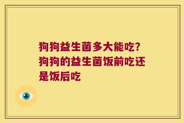 狗狗益生菌多大能吃？狗狗的益生菌饭前吃还是饭后吃