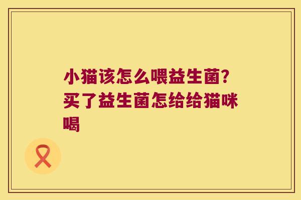 小猫该怎么喂益生菌？买了益生菌怎给给猫咪喝