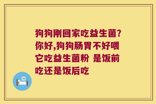 狗狗刚回家吃益生菌?你好,狗狗肠胃不好喂它吃益生菌粉 是饭前吃还是饭后吃 狗狗刚回家吃益生菌?你好,狗狗肠胃不好喂它吃益生菌粉 是饭前吃还是饭后吃