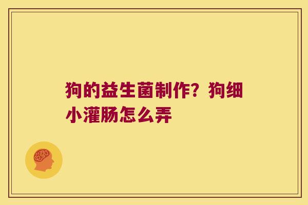 狗的益生菌制作？狗细小灌肠怎么弄