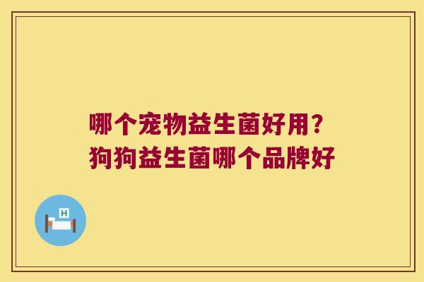 哪个宠物益生菌好用？狗狗益生菌哪个品牌好