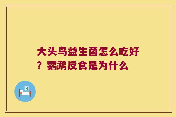 大头鸟益生菌怎么吃好？鹦鹉反食是为什么