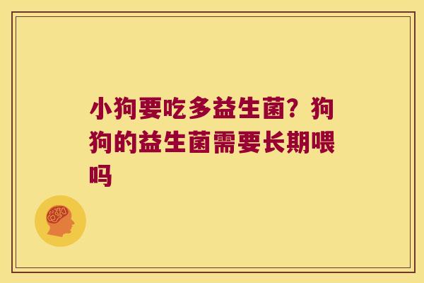 小狗要吃多益生菌？狗狗的益生菌需要长期喂吗