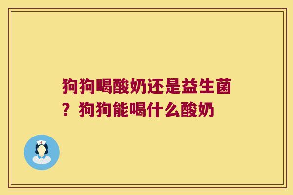 狗狗喝酸奶还是益生菌?狗狗能喝什么酸奶 狗狗喝酸奶还是益生菌?狗狗能喝什么酸奶