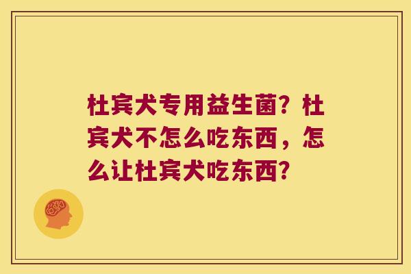 杜宾犬专用益生菌？杜宾犬不怎么吃东西，怎么让杜宾犬吃东西？