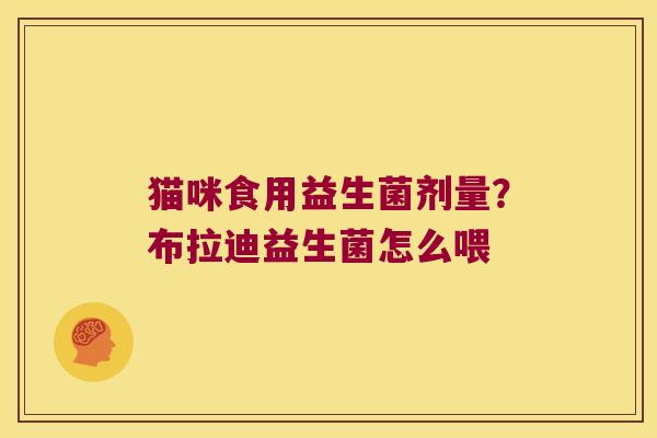 猫咪食用益生菌剂量?布拉迪益生菌怎么喂 猫咪食用益生菌剂量?布拉迪益生菌怎么喂