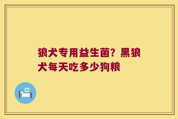 狼犬专用益生菌？黑狼犬每天吃多少狗粮
