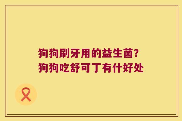 狗狗刷牙用的益生菌？狗狗吃舒可丁有什好处