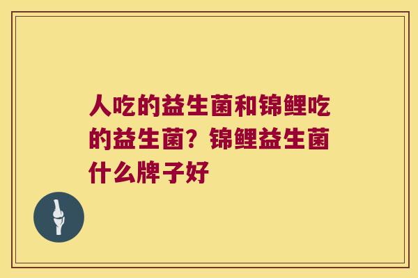 人吃的益生菌和锦鲤吃的益生菌?锦鲤益生菌什么牌子好 人吃的益生菌和锦鲤吃的益生菌?锦鲤益生菌什么牌子好
