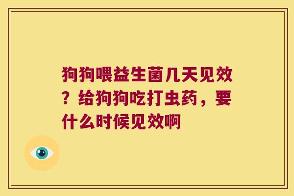 狗狗喂益生菌几天见效？给狗狗吃打虫药，要什么时候见效啊