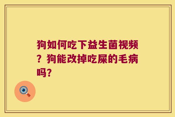狗如何吃下益生菌视频?狗能改掉吃屎的毛吗? 狗如何吃下益生菌视频?狗能改掉吃屎的毛吗?