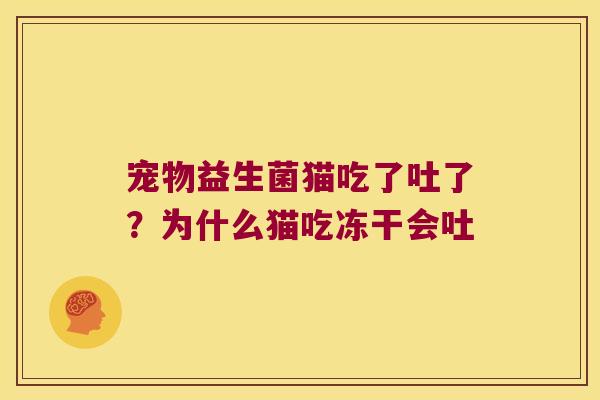 宠物益生菌猫吃了吐了？为什么猫吃冻干会吐