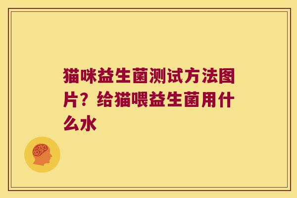 猫咪益生菌测试方法图片？给猫喂益生菌用什么水