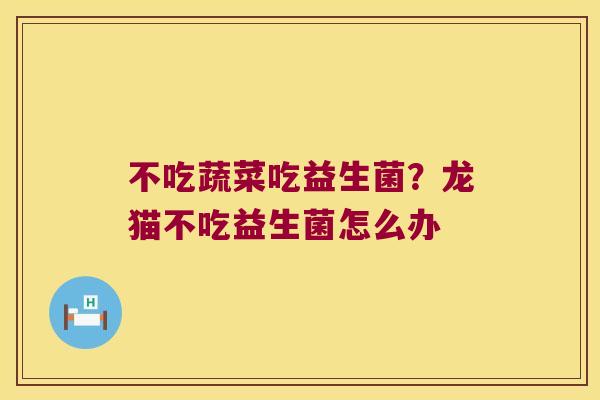 不吃蔬菜吃益生菌?龙猫不吃益生菌怎么办 不吃蔬菜吃益生菌?龙猫不吃益生菌怎么办