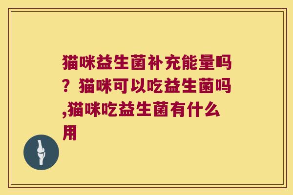 猫咪益生菌补充能量吗？猫咪可以吃益生菌吗,猫咪吃益生菌有什么用