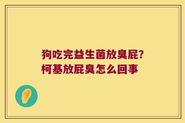 狗吃完益生菌放臭屁？柯基放屁臭怎么回事