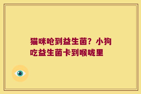 猫咪呛到益生菌?小狗吃益生菌卡到喉咙里 猫咪呛到益生菌?小狗吃益生菌卡到喉咙里