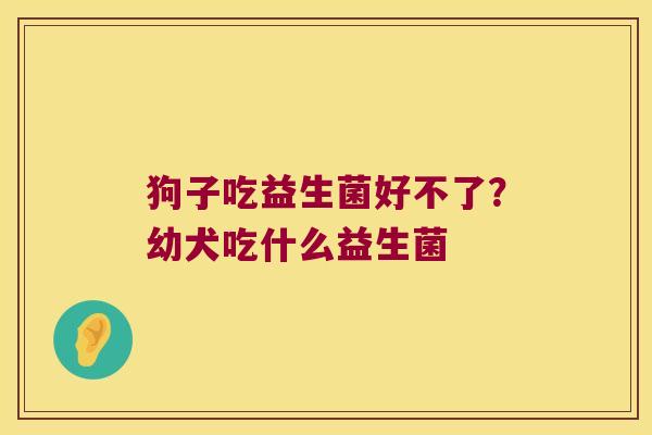 狗子吃益生菌好不了？幼犬吃什么益生菌