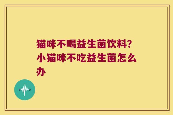 猫咪不喝益生菌饮料？小猫咪不吃益生菌怎么办