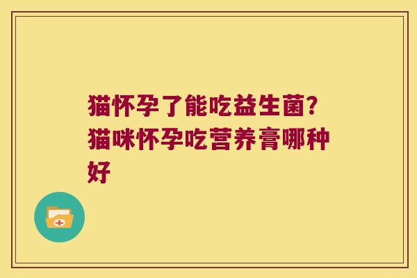 猫怀孕了能吃益生菌?猫咪怀孕吃营养膏哪种好 猫怀孕了能吃益生菌?猫咪怀孕吃营养膏哪种好