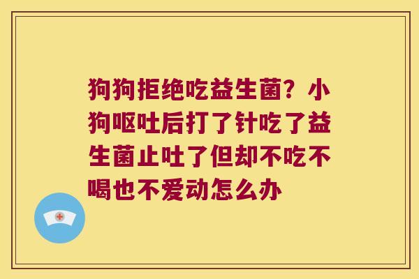 狗狗拒绝吃益生菌？小狗呕吐后打了针吃了益生菌止吐了但却不吃不喝也不爱动怎么办