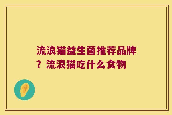 流浪猫益生菌推荐品牌？流浪猫吃什么食物