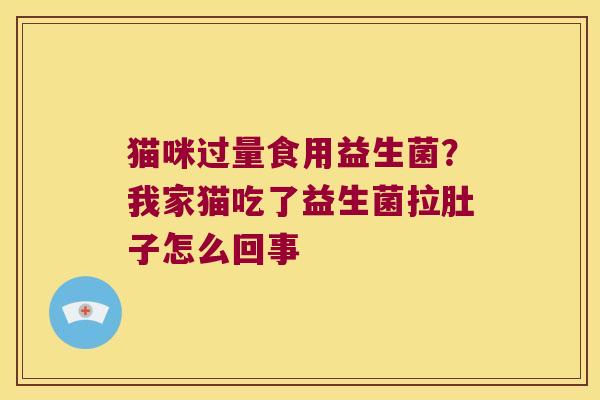 猫咪过量食用益生菌？我家猫吃了益生菌拉肚子怎么回事