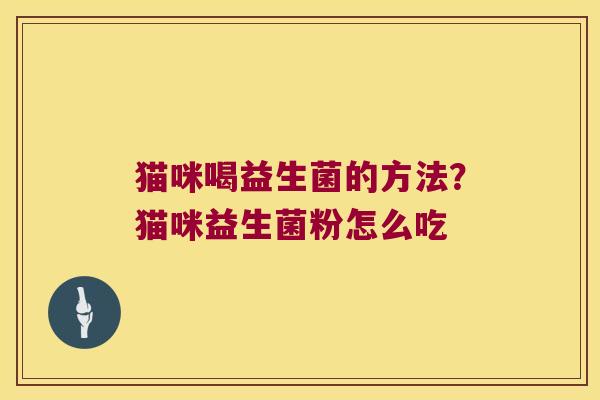 猫咪喝益生菌的方法？猫咪益生菌粉怎么吃