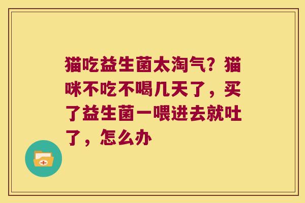 猫吃益生菌太淘气？猫咪不吃不喝几天了，买了益生菌一喂进去就吐了，怎么办