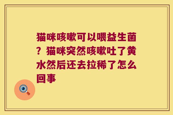 猫咪可以喂益生菌？猫咪突然吐了黄水然后还去拉稀了怎么回事