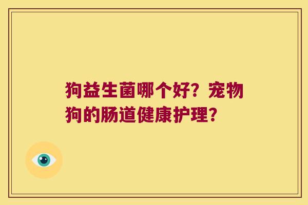狗益生菌哪个好？宠物狗的肠道健康护理？