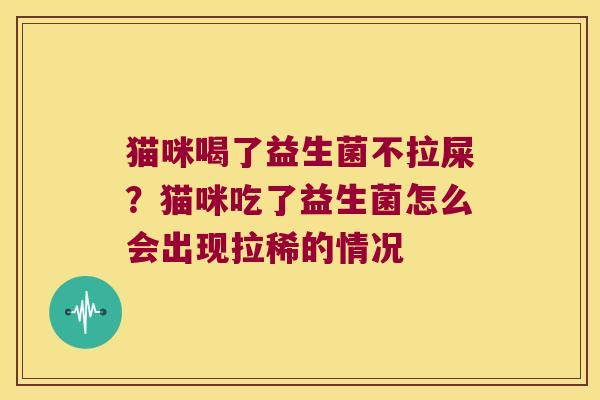 猫咪喝了益生菌不拉屎？猫咪吃了益生菌怎么会出现拉稀的情况