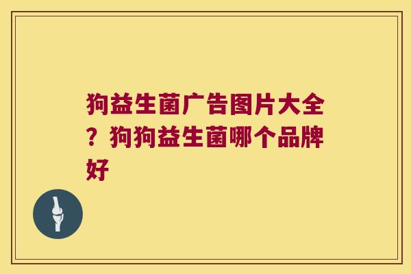狗益生菌广告图片大全?狗狗益生菌哪个品牌好 狗益生菌广告图片大全?狗狗益生菌哪个品牌好