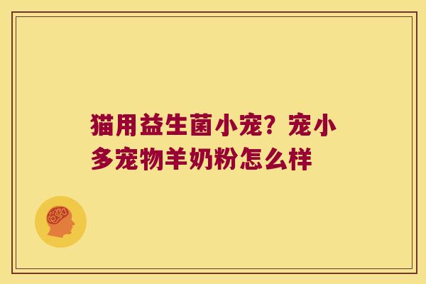 猫用益生菌小宠?宠小多宠物羊奶粉怎么样 猫用益生菌小宠?宠小多宠物羊奶粉怎么样