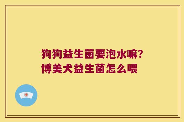 狗狗益生菌要泡水嘛？博美犬益生菌怎么喂