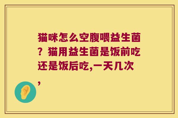 猫咪怎么空腹喂益生菌？猫用益生菌是饭前吃还是饭后吃,一天几次,