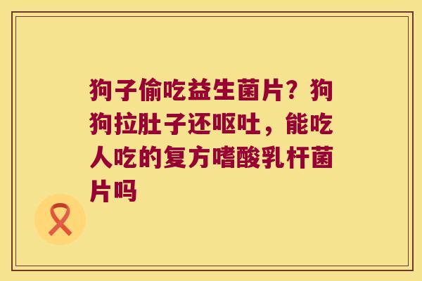 狗子偷吃益生菌片?狗狗拉肚子还,能吃人吃的复方嗜酸乳杆菌片吗 狗子偷吃益生菌片?狗狗拉肚子还,能吃人吃的复方嗜酸乳杆菌片吗