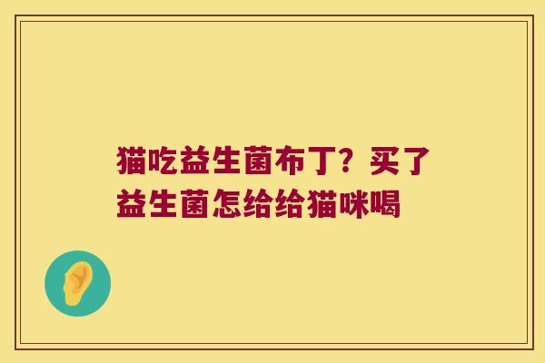 猫吃益生菌布丁？买了益生菌怎给给猫咪喝