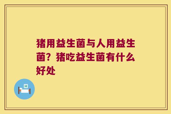 猪用益生菌与人用益生菌？猪吃益生菌有什么好处